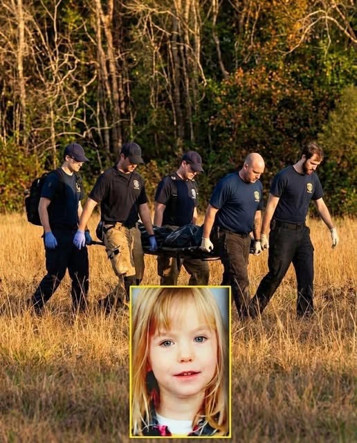 Missing girl found in the woods, her mother was the one who
