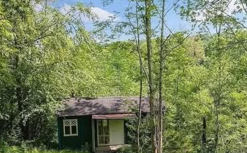 Your Serene 1.5-Acre Forest Escape by Summit Lake