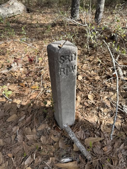 What’s Hidden Beside This Quiet Path? A Small Concrete Marker That Reveals a Forgotten Road and Local History