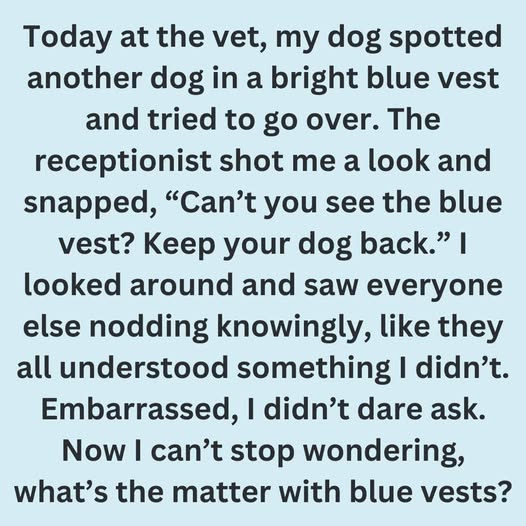 Why Some Dogs Wear Blue Vests, Bandanas, or Leashes: What It Really Means and How to Respond