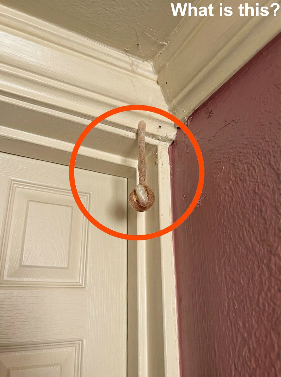 The Hidden Discovery in Our Hotel Room That Changed How We Saw Everything
