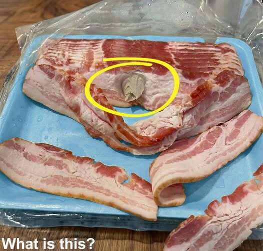 I Opened a Pack of Bacon and Found Something So Disturbing I Couldn’t Eat for Hours