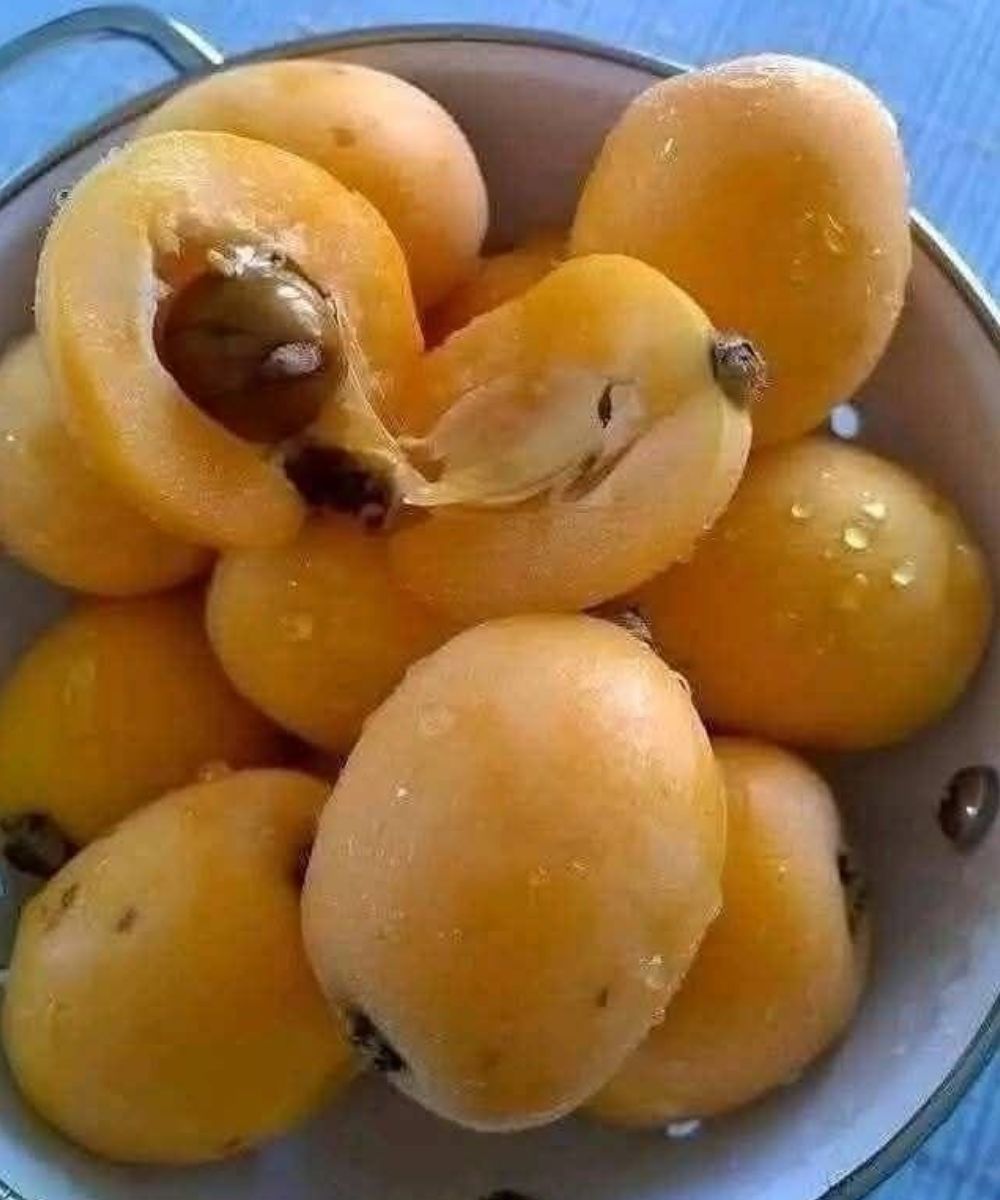 Forget Store-Bought Spreads Forever: The Ancient Fruit Secret That Will Revolutionize Your Morning