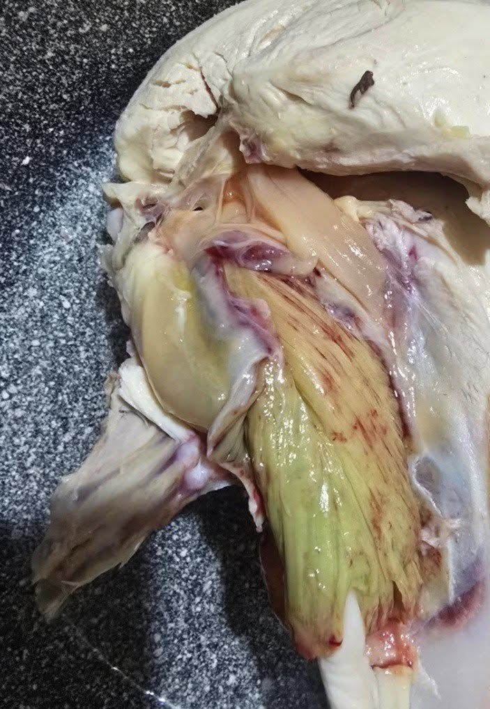 Green Chicken Meat and the Importance of Food Safety