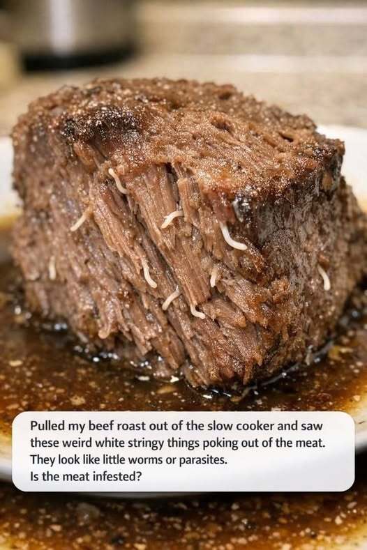 I Thought My Slow Cooker Roast Was Full of Worms — But the Real Explanation Was Far Less Terrifying